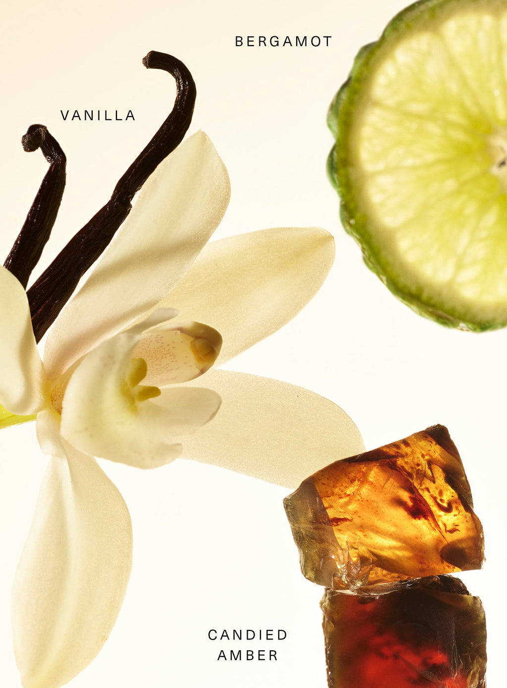 Fragrance Layering Balm – Amber Vanilla