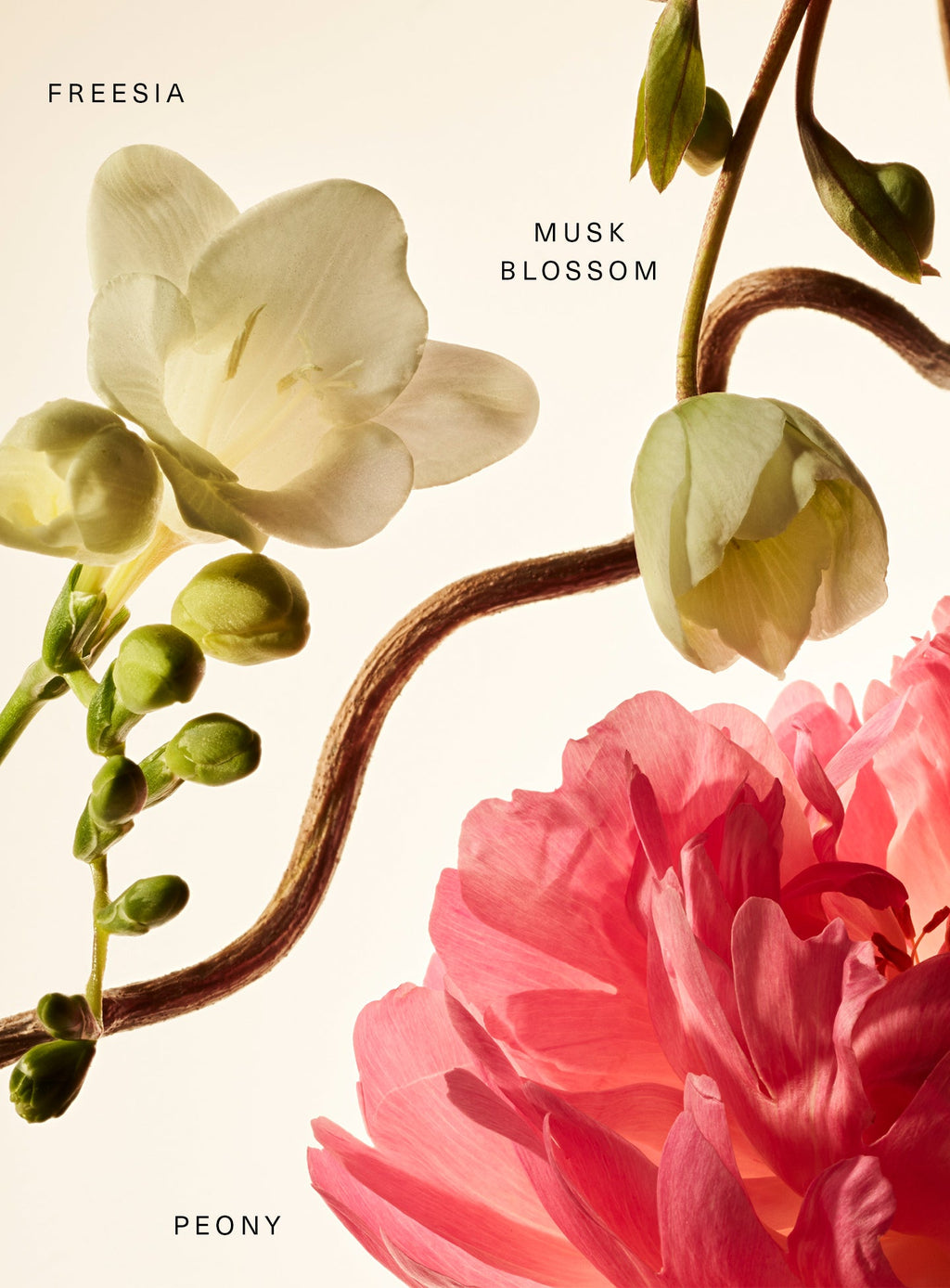 Fragrance Layering Balm – Floral Peony Blossom