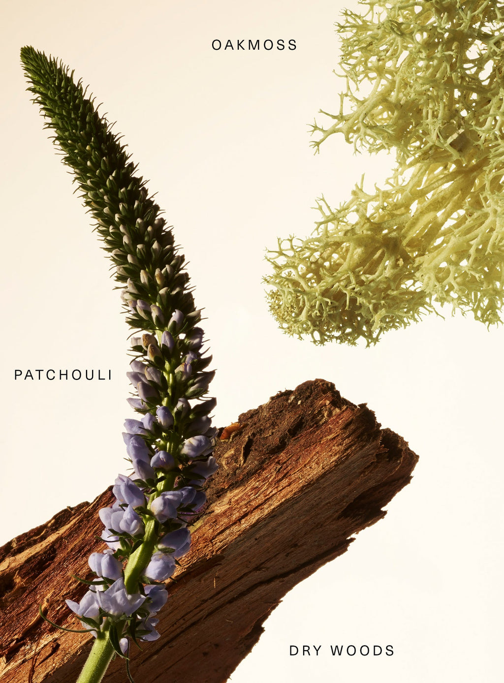Fragrance Layering Balm – Woody Oak