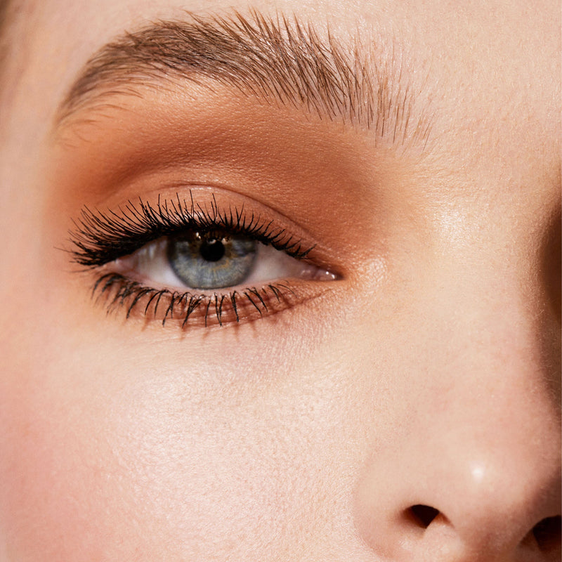 MASTER MATTES EYESHADOW PALETTE: THE ORIGINAL