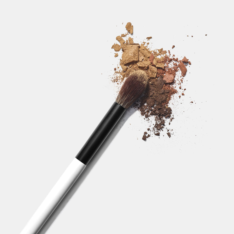 EF2 BLENDING EYE AND FACE BRUSH