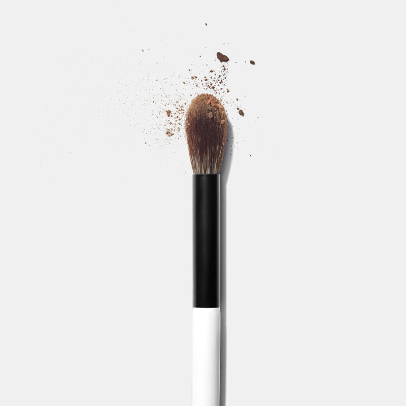 EF2 BLENDING EYE AND FACE BRUSH